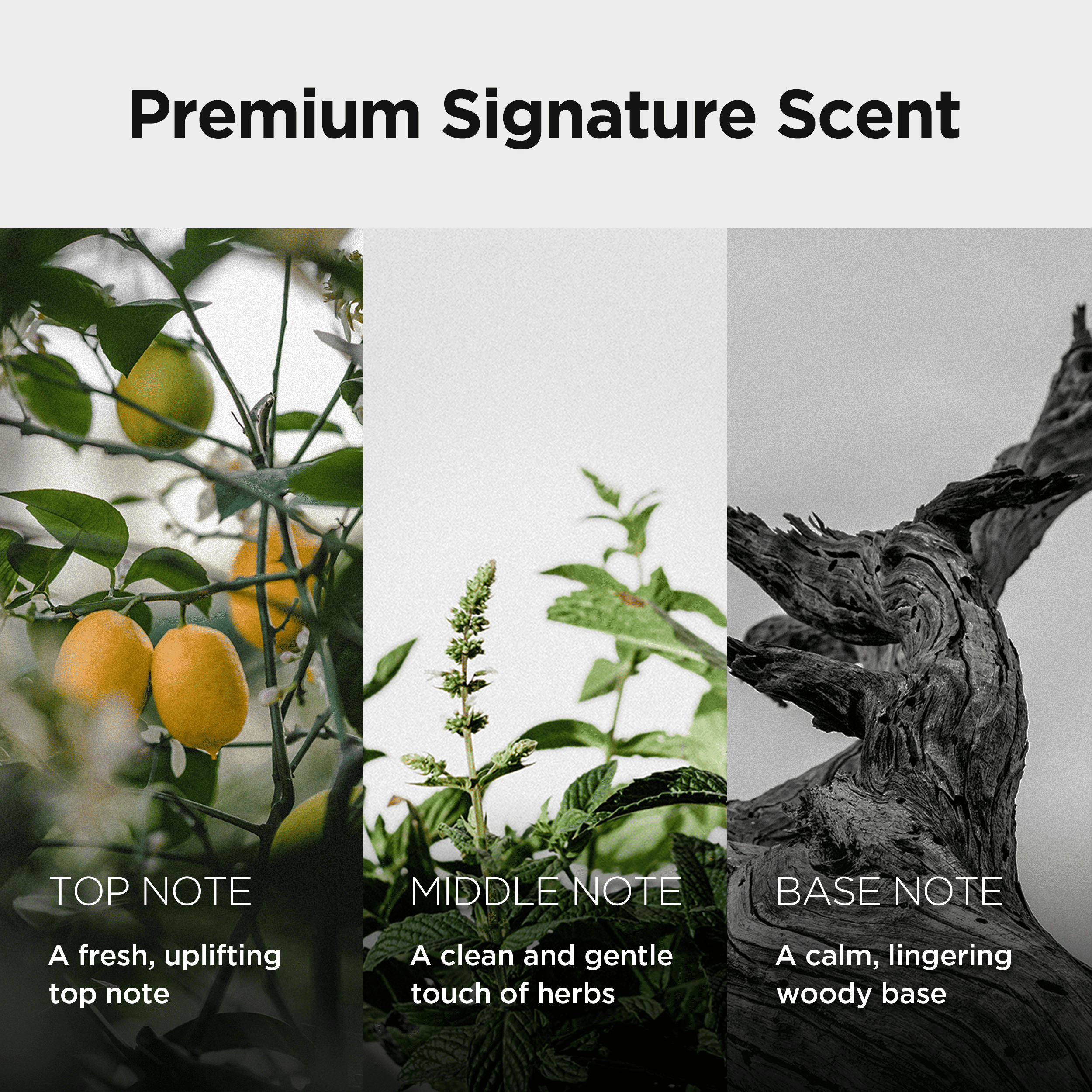 Niacinamide 4% toning deodorant - Imagen 5